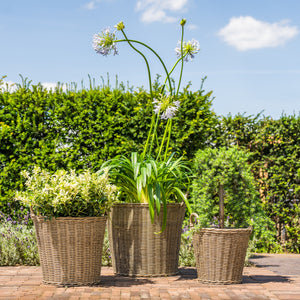 Polyrattan Natural Lined Planter Large