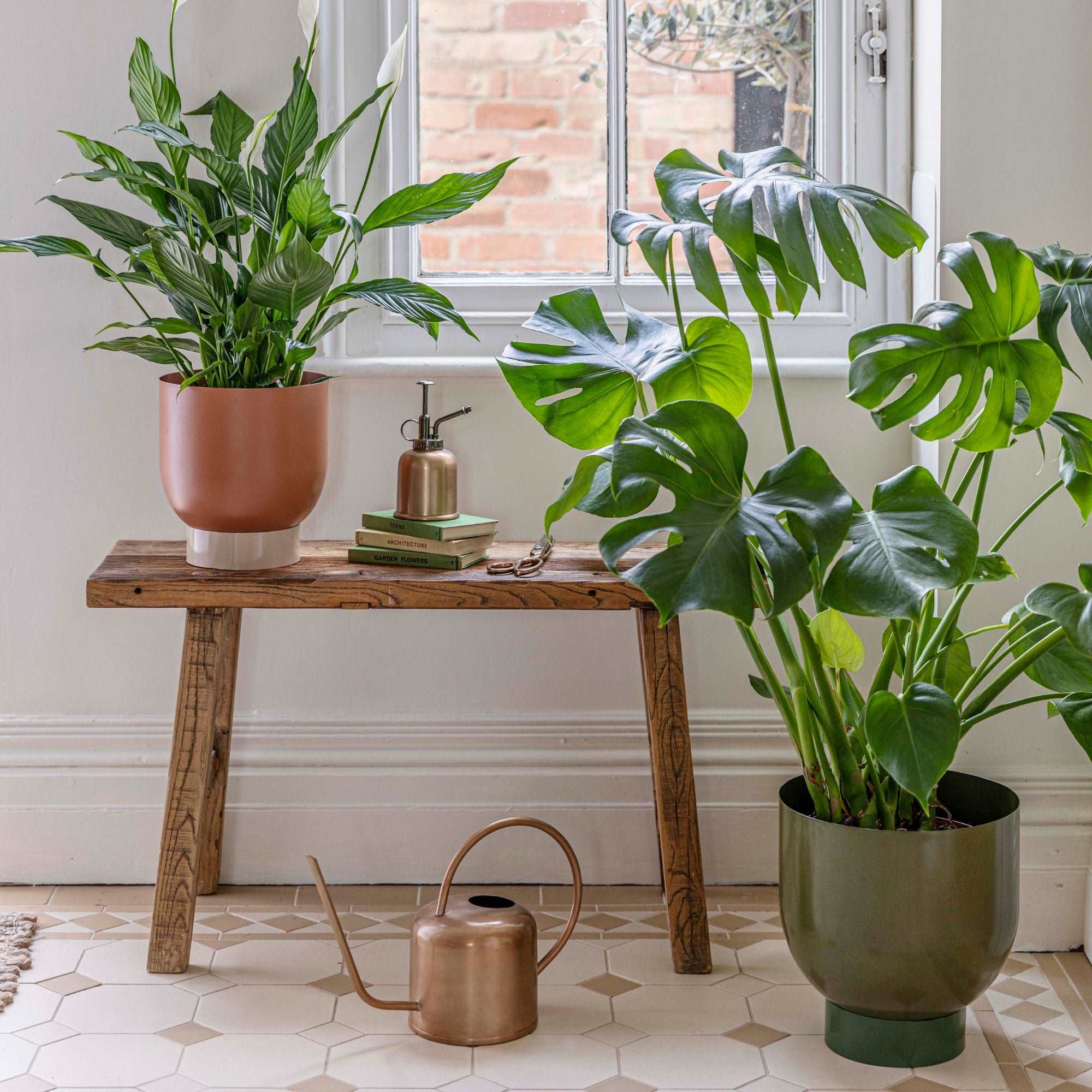 Austin Dual Rhubarb Metal Planters Set of 2