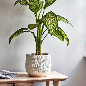 Arles Leaf Embossed White Planter Small