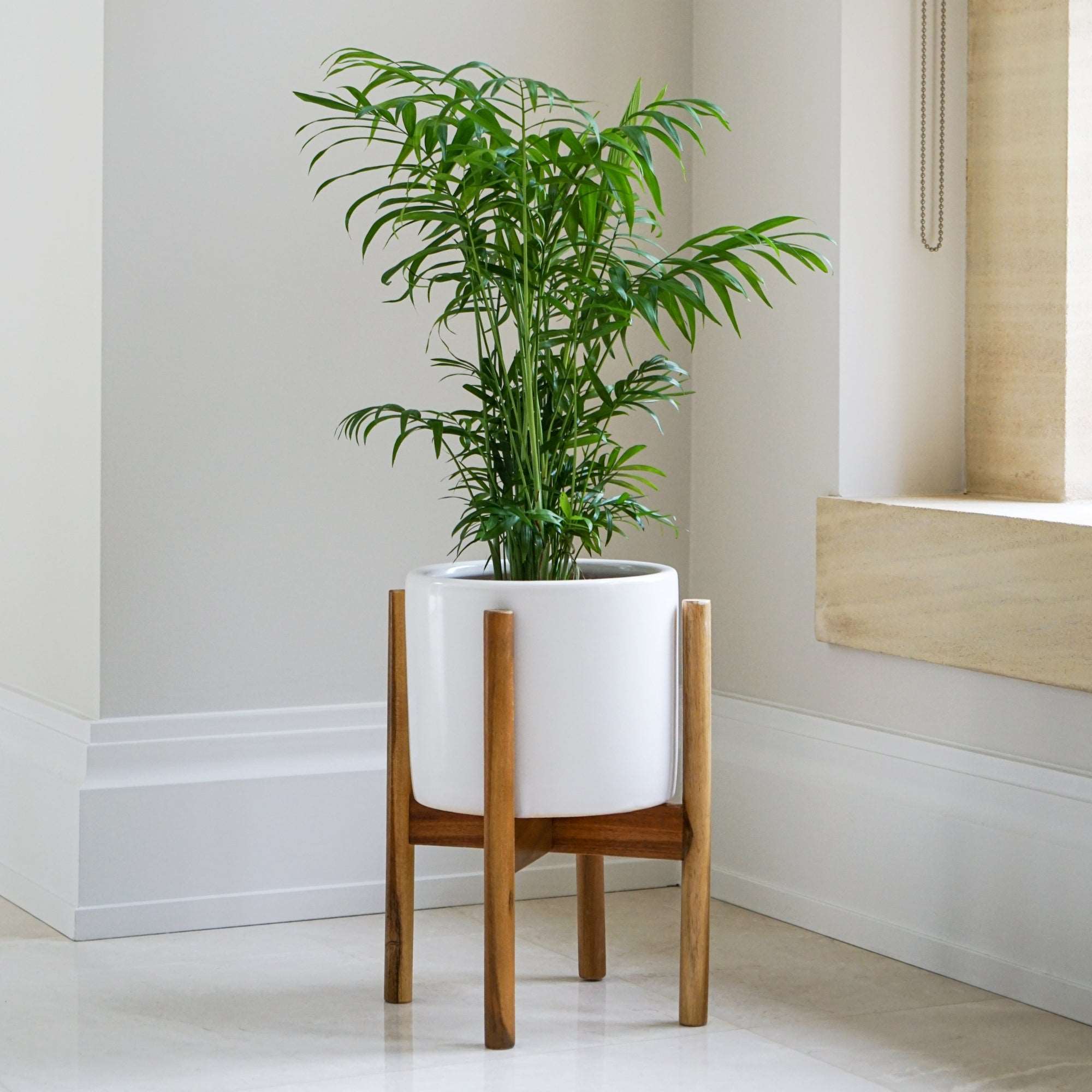 Anzio Stone White Planter With Wooden Stand