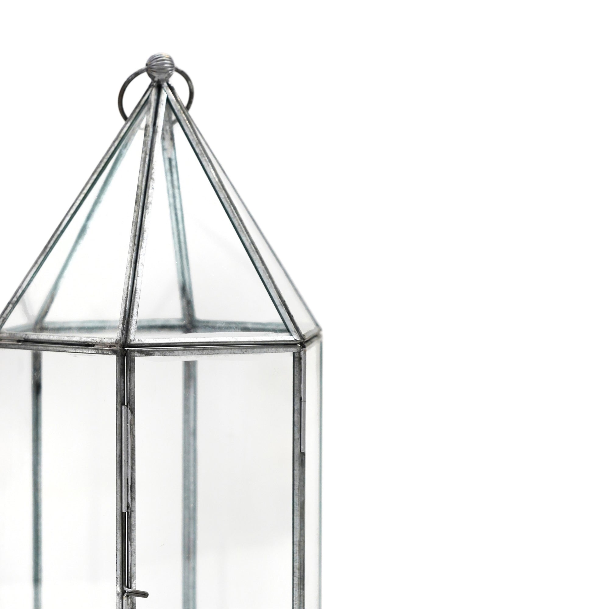 Glasshouse Terrarium Galvanised