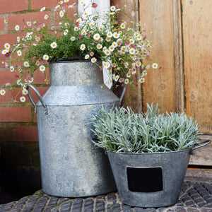 Galvanised Milk Churn