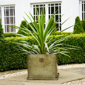 Kew Aged Brass Regency Outdoor Planter Small