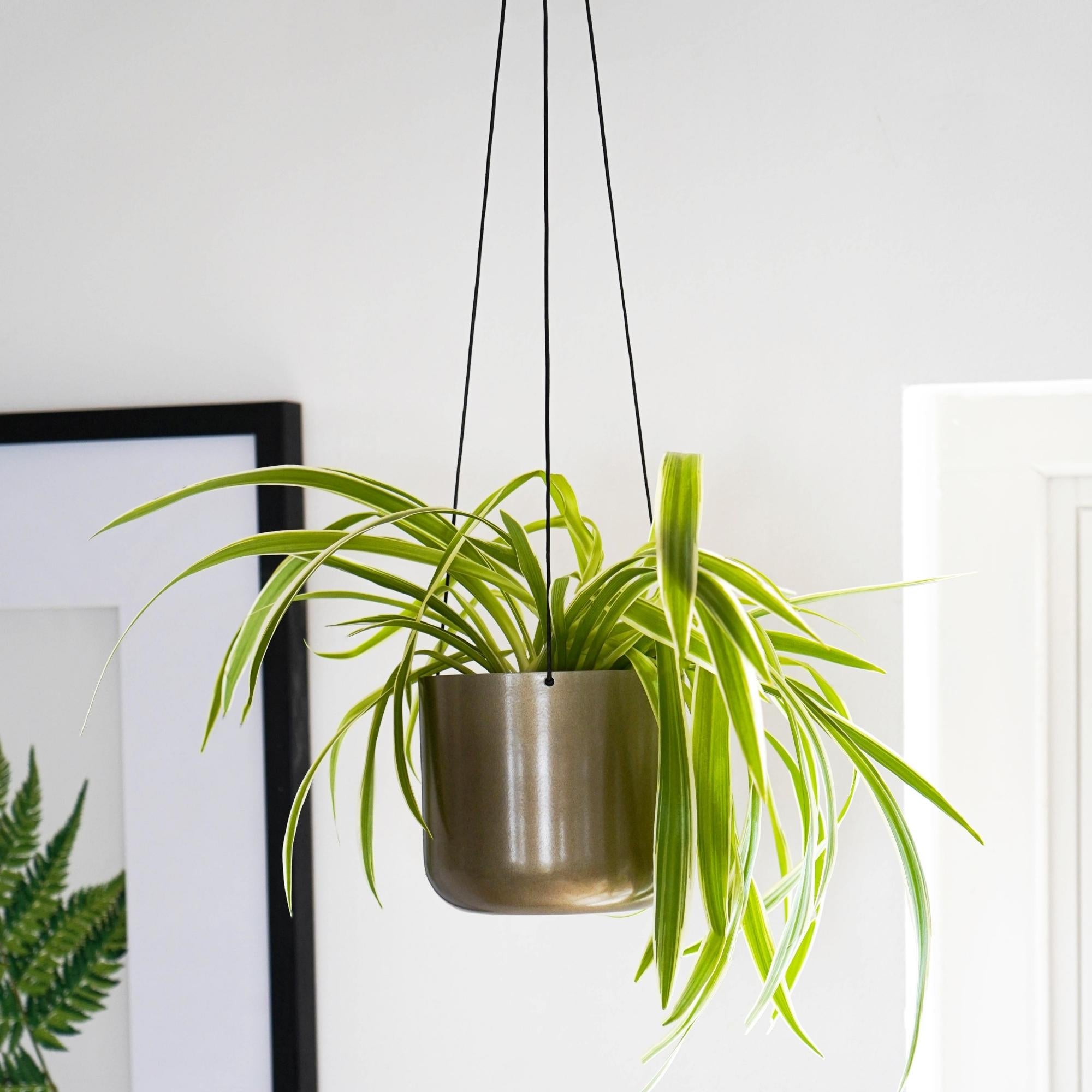 Kew Matt Brass Hanging Planter Large With Hook