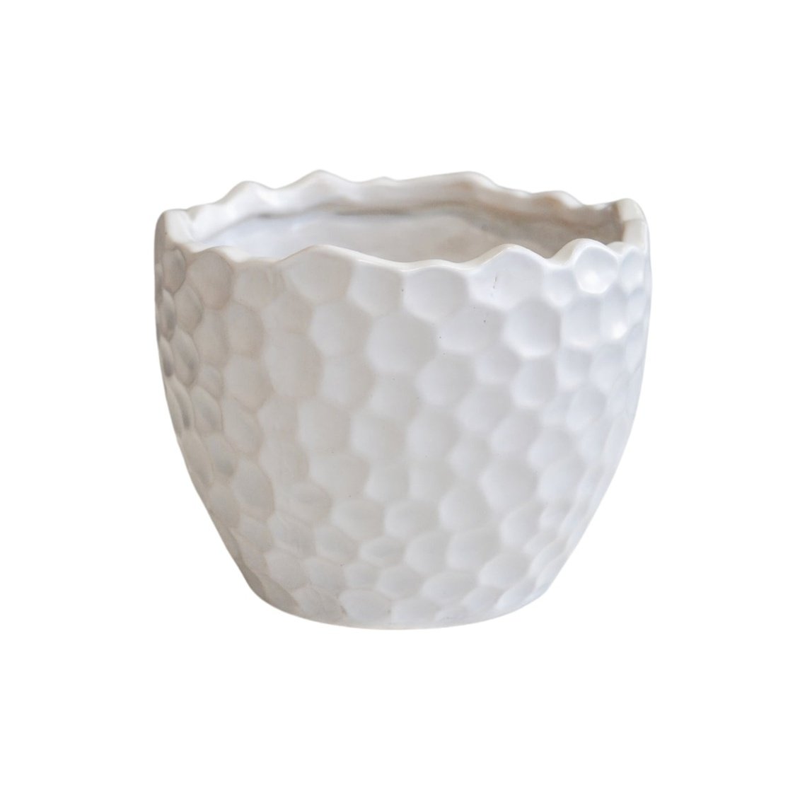 Kew Botanical Textured White Planter