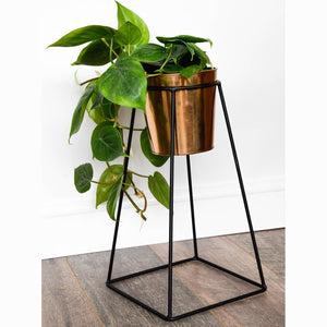 MInimo plant Stand In Black Large (Stand only)