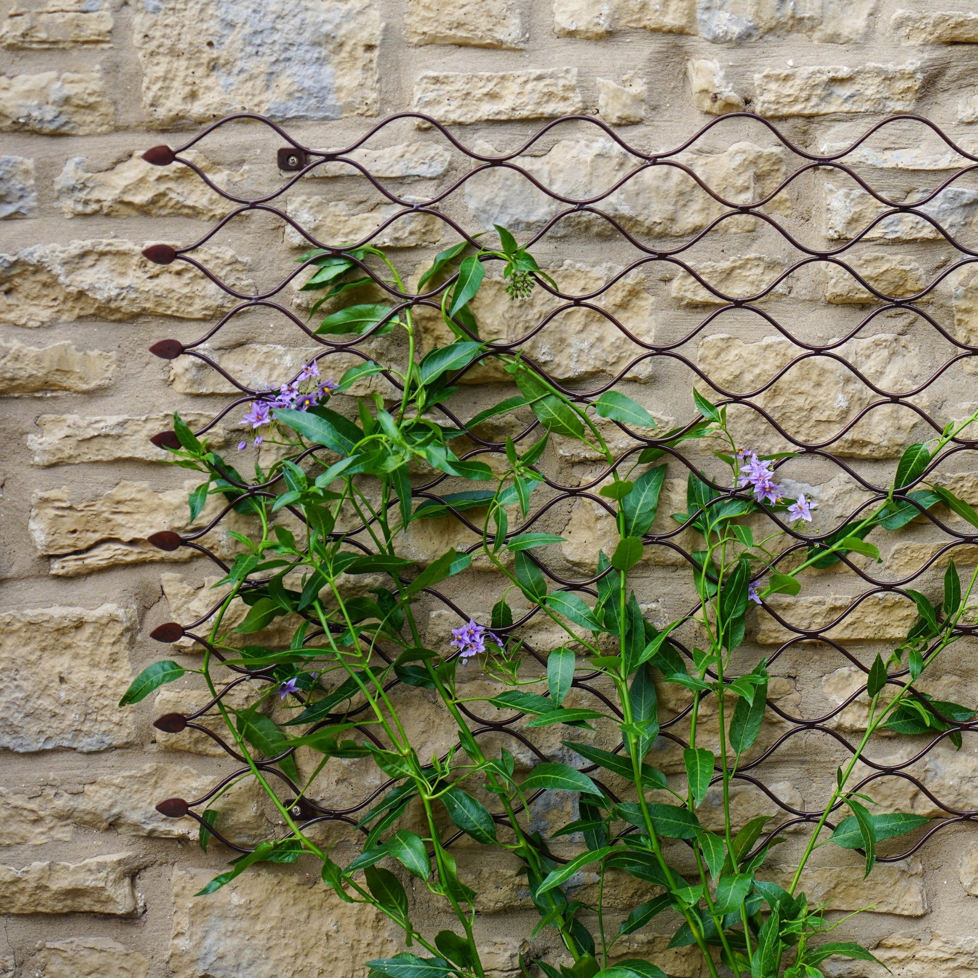 Outdoor Honeycomb Trellis Bronze Large