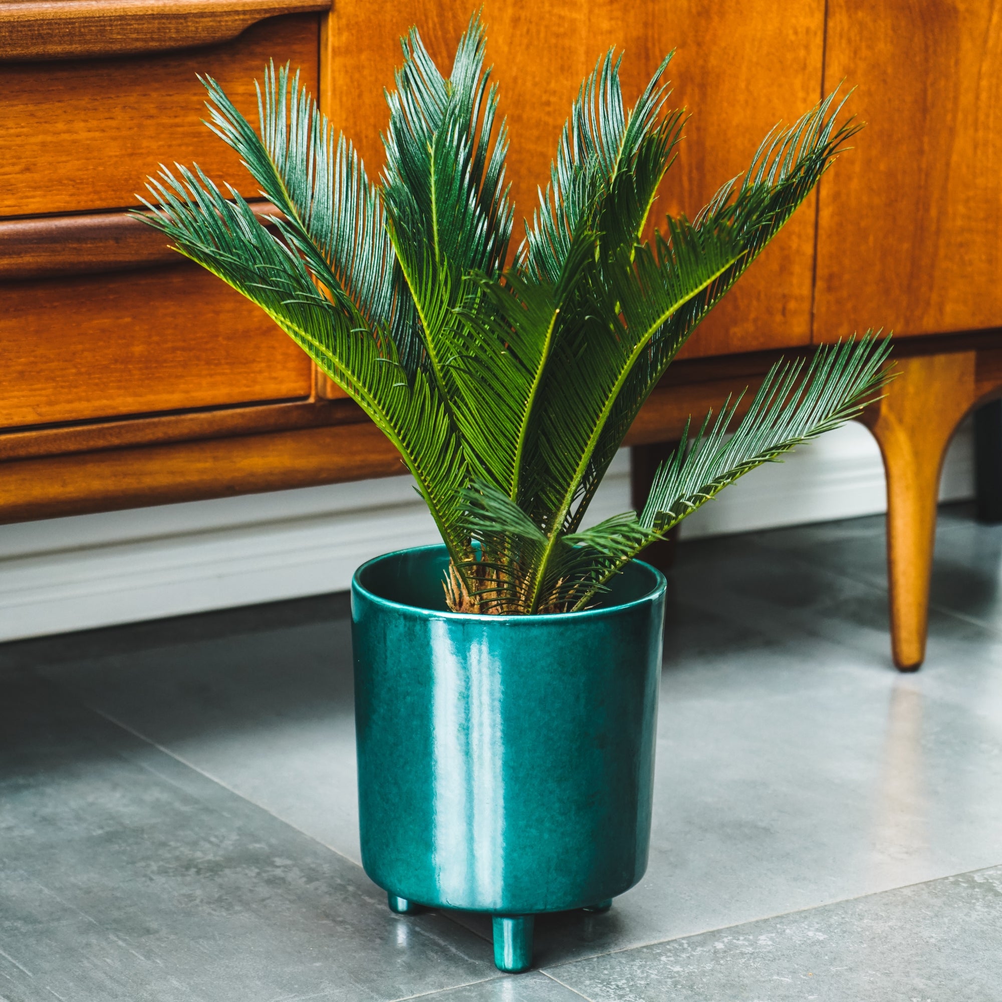 Pisa Emerald Planter Large