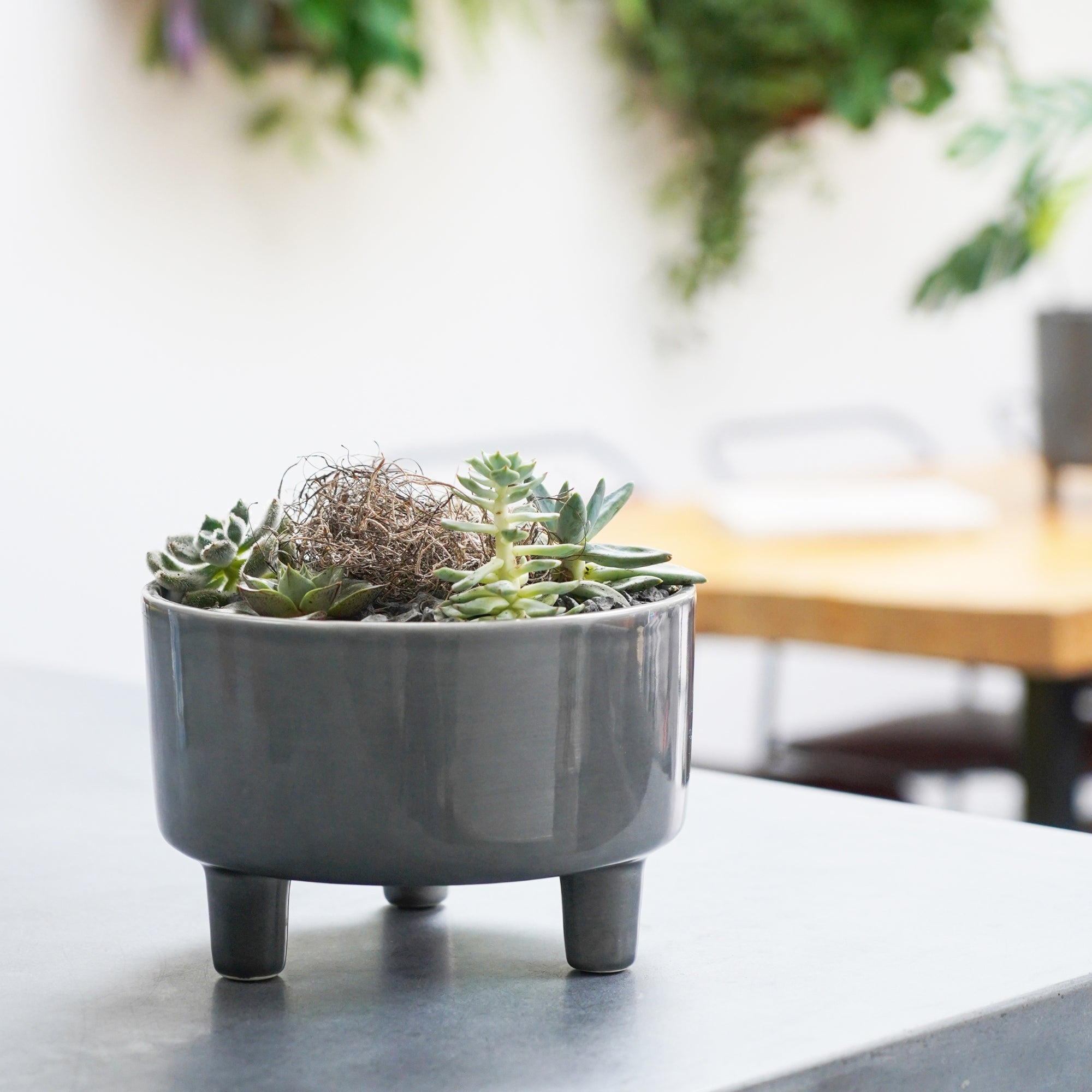 Pisa Slate Bowl Planter